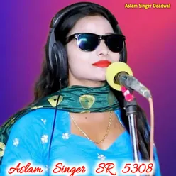 Aslam Singer SR 5308
