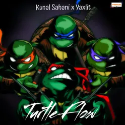 Turtle Flow