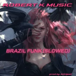 brazil funk (slowed)