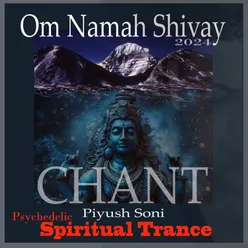 Om Namah Shivay