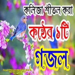 Nobir Roza Sharif Dekhe Mon Bhole Na - Cute Voice - Male Version