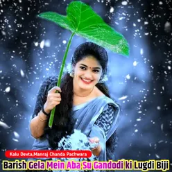 Barish Gela Mein Aba Su Gandodi ki Lugdi Biji