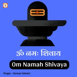 Om Namah Shivaya