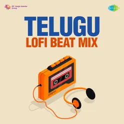 Edu Vaadu Evado Ledu - Lofi