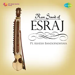 Rare Sound Of Esraj