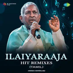 Ilaiyaraaja Hit Remixes