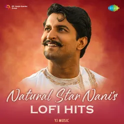 Natural Star Nanis Lofi Hits