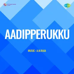 Aadipperukku