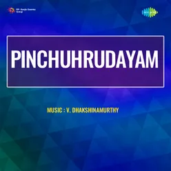 Pinchuhrudayam