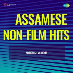 Assamese Non-Film Hits Vol-4