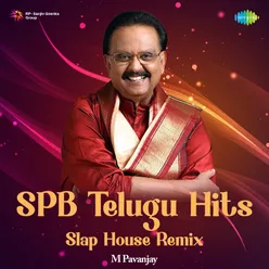 Jaruguthunnadhi - Slap House Remix