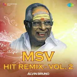 MSV Hit Remix - Vol. 2