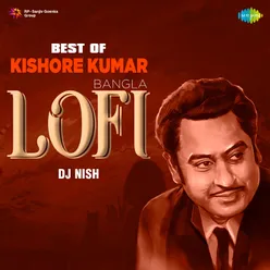Akash Keno Daake - LoFi