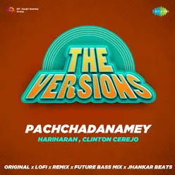 The Versions - Pachchadanamey