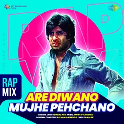 Are Diwano Mujhe Pehchano - Rap Mix