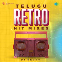 Gaale Naa Vaakitikoche - DJ Revvy Remix