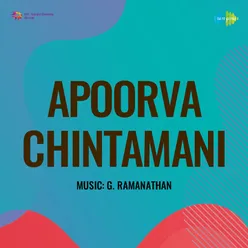 Apoorva Chintamani