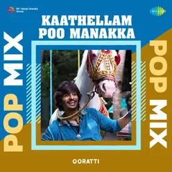 Kaathellam Poo Manakka - Pop Mix