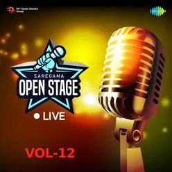 Open Stage Live - Vol 12