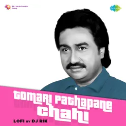 Tomari Pathapane Chahi - LoFi