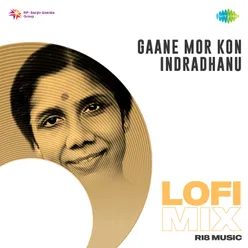 Gaane Mor Kon Indradhanu - Lofi Mix