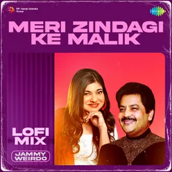 Meri Zindagi Ke Malik Lofi Mix