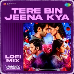 Tere Bin Jeena Kya Lofi Mix