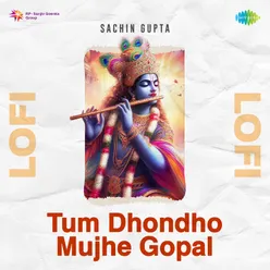 Tum Dhondho Mujhe Gopal Lofi