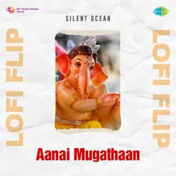 Aanai Mugathaan Lofi Flip