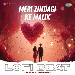 Meri Zindagi Ke Malik Lofi Beat