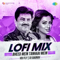 Bheed Mein Tanhaai Mein - Lofi Mix