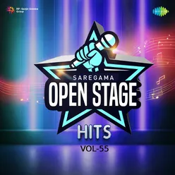 Open Stage Hits - Vol 55