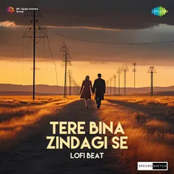 Tere Bina Zindagi Se Lofi Beat