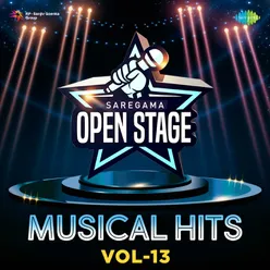 Open Stage Musical Hits - Vol 13