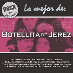 Rock En Español - Lo Mejor De Botellita De Jerez