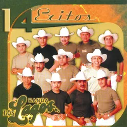 De La Tierra Al Cielo (Album Version)