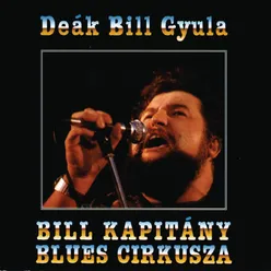 Bill Kapitány Blues Cirkusza Budget