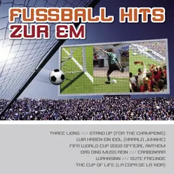 Anthem (The 2002 FIFA World Cup Official Anthem) [Synthesizer Version] (Synthesizer version)