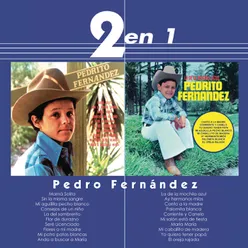 Serie Dos En Uno / Pedrito Fernández