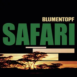 Safari (Album Version)