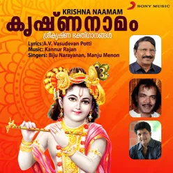 Krishna Naamam (Instrumental)