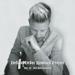 DJ Need Selects, Vol. II - The Remixes