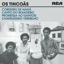 Os Tincoãs