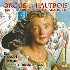 Orgue et hautbois (Orgue de la Cathédrale d'Agde)
