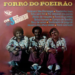 Sanfoneiro de Pagode