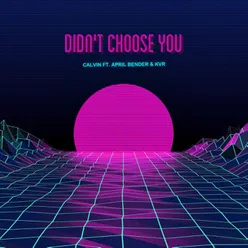 Didn't Choose You