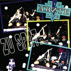 Zu spät (Live Mixes)