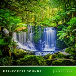 Forest Sounds, Pt. 47