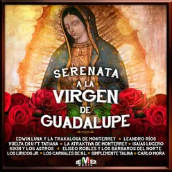 La Guadalupana