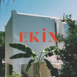 Ekin (Akustik)